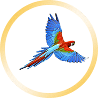 Ella - HTML Template