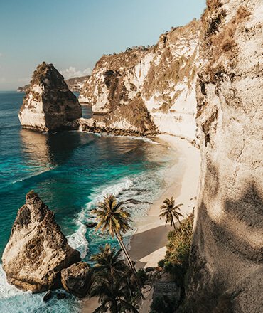 Ella - HTML Template